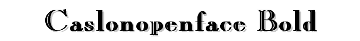 CaslonOpenFace Bold font